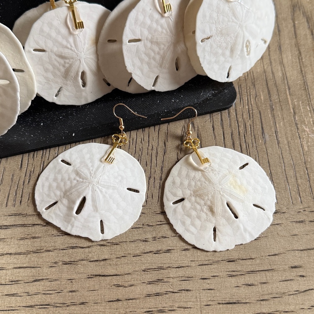 2 pair of real sand-dollar earrings with gold tone key, hypoallergenic.